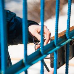 Security officer unlocks cell